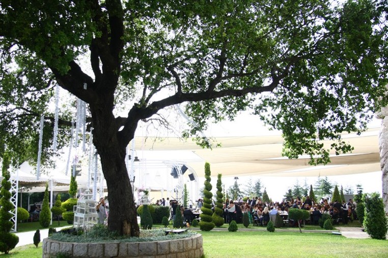 Corine & Marc Wedding
